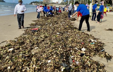 HƯỞNG ỨNG NGÀY ĐẠI DƯƠNG THẾ GIỚI 8/6 Giữ gìn môi trường biển vì sự sống và sinh kế