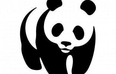 UBND huyện Côn Đảo đồng hành cùng tổ chức WWF chung tay tuyên truyền "Giảm thiểu rác thải nhựa đại dương"