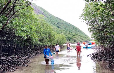 Du lịch xanh để phát triển bền vững