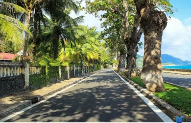 Côn Đảo: Đẹp thơ mộng, ngỡ ngàng mùa Bàng thay lá