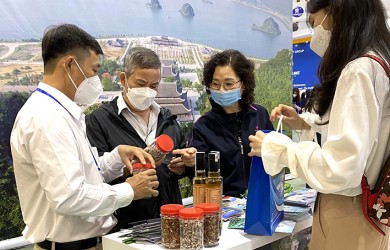 Du lịch BR-VT quảng bá tại VITM Hanoi 2022