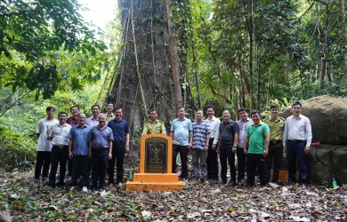Tỉnh ủy Đồng Nai học tập kinh nghiệm mô hình du lịch sinh thái rừng tại Côn Đảo