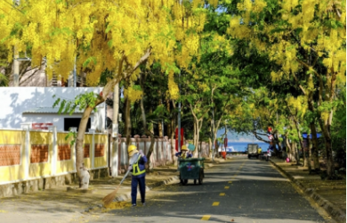 Những “anh hùng” thầm lặng - vì một môi trường Côn Đảo xanh, sạch, đẹp.