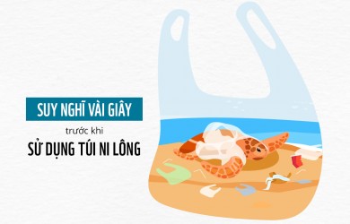 MỘT NĂM NHÌN LẠI HÀNH TRÌNH ĐƯA CÔN ĐẢO TRỞ THÀNH ĐIỂM ĐẾN GIẢM NHỰA