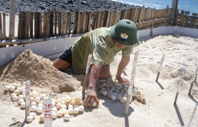 images1816625 di doi trung vao ho ap 6