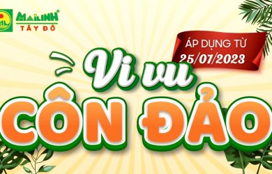 Điều chỉnh giá vé Tàu cao tốc Mai Linh Express tuyến Cần Thơ - Côn Đảo và ngược lại