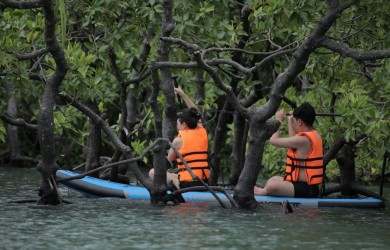 Danh sách Các Đơn Vị Đủ Điều Kiện Hoạt Động Kinh Doanh Dịch Vụ hoạt động vui chơi giải trí dưới nước