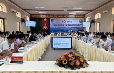 Triển khai đề án kinh tế tuần hoàn tại Côn Đảo