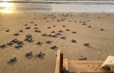 Báo quốc tế gợi ý 5 điểm đến gắn liền với du lịch bền vững ở Việt Nam