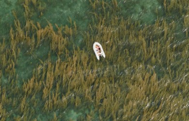 Mùa rùa đẻ trứng ở Côn Đảo