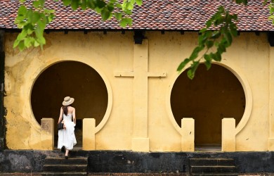 Mùa rùa đẻ trứng ở Côn Đảo